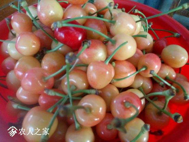 IMG20170515054259.jpg