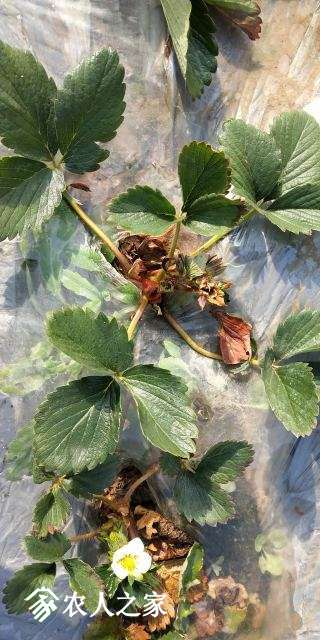 b0e91280-1f76-44df-a009-abcb94dc0b98.jpg