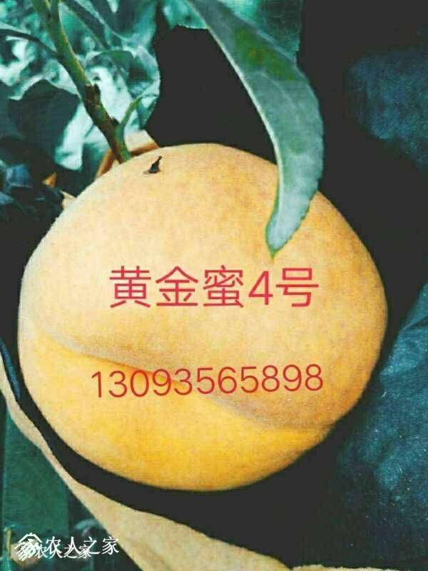 064805xptuupe97v5patub.jpg