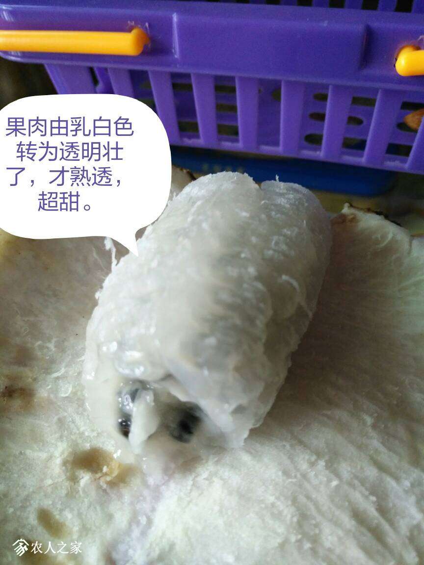 130438ww00qxgxlkkkky0l.jpg
