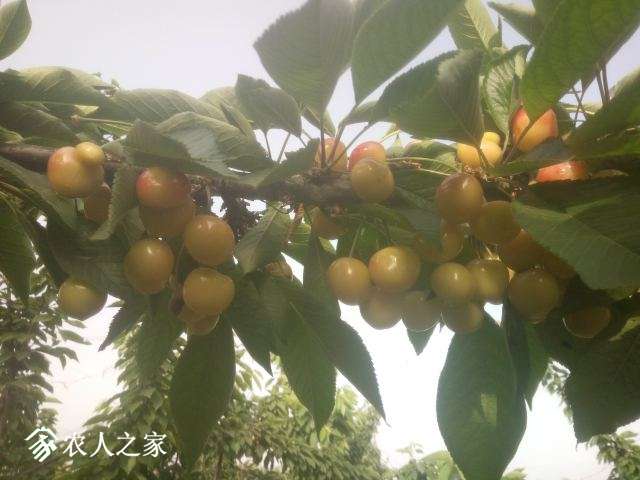 IMG20170512065257.jpg