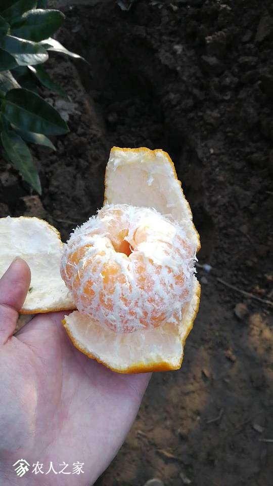000258ttpbfne8e252ipfe.jpg