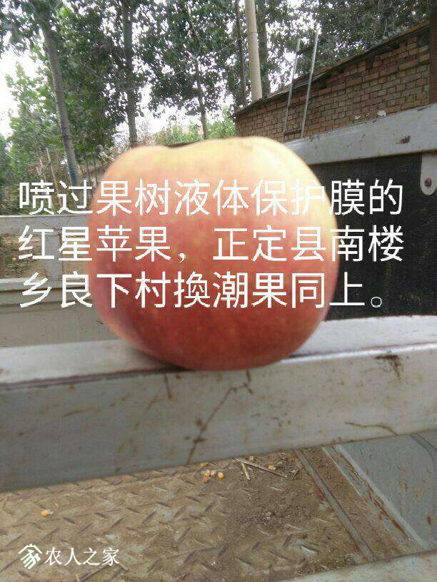 190058zqi78rolt4qglg88.jpg