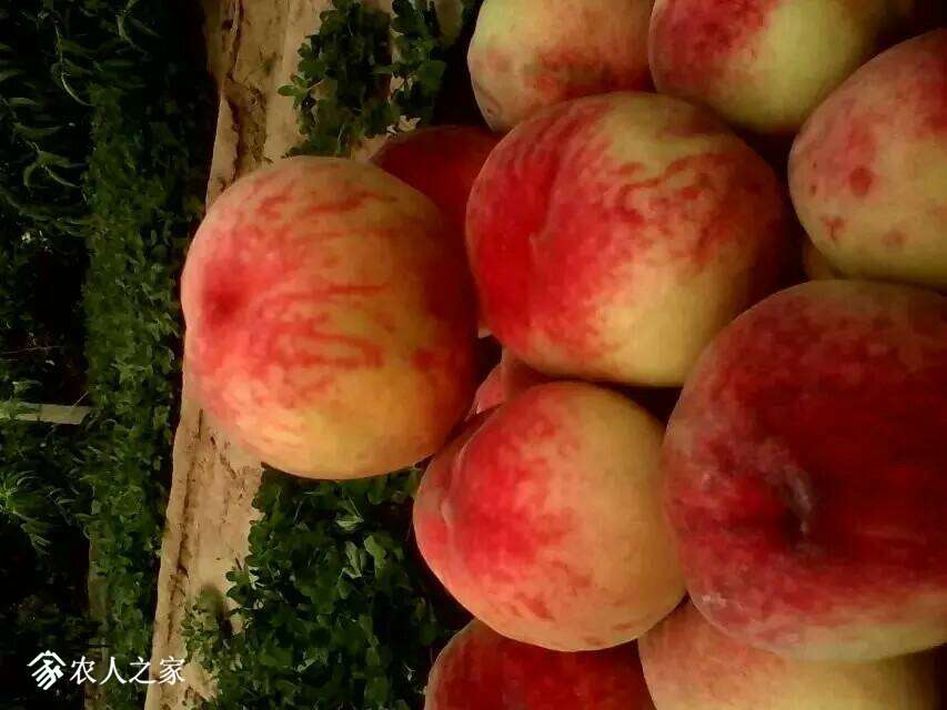190156d1blef5iufc71ku5.jpeg
