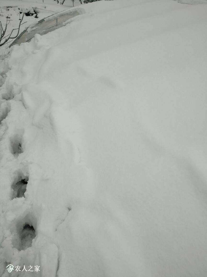 121522b11bxsxjh117syx2.jpg