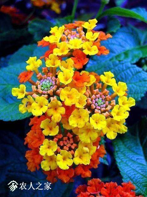 235623ucoccsihd002klnd.jpg