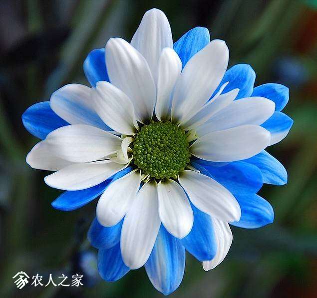 235704su1iuq861qa22u8a.jpg