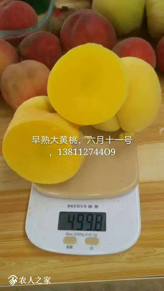 060530fahhheh46at8ceoo.jpg