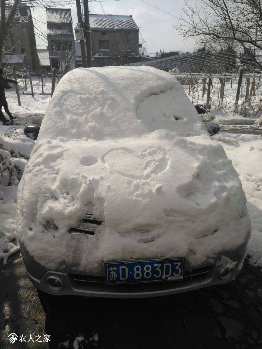 124419bdaezmeiid4egrad.jpg