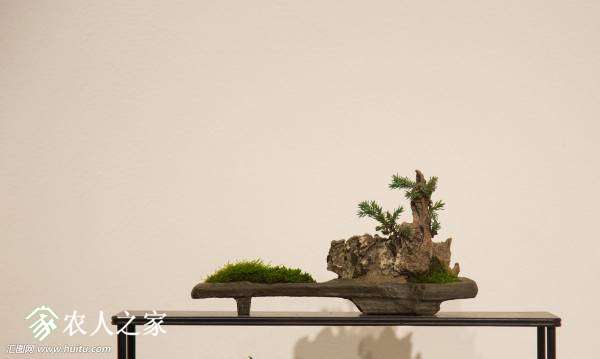 010358l606rm2wmj01m6wu.jpg