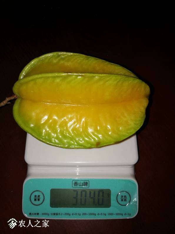 211709v0ksuuuyfhfzbsry.jpg