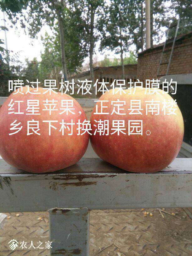 230026wl72hl2jh2jgne00.jpg