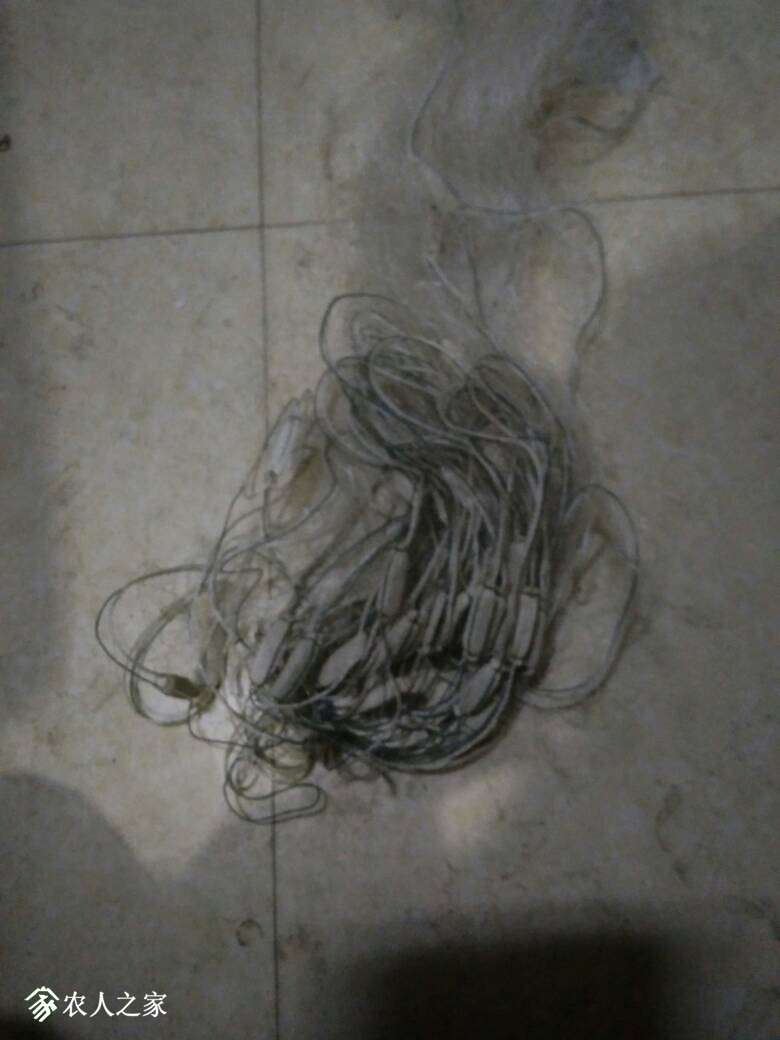 094023phgt5ksgzgtetisy.jpg