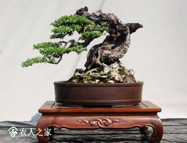 094341vhjp0j9k988446kl.jpg
