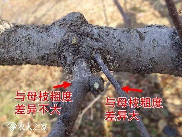 20180129_180705_022.jpg
