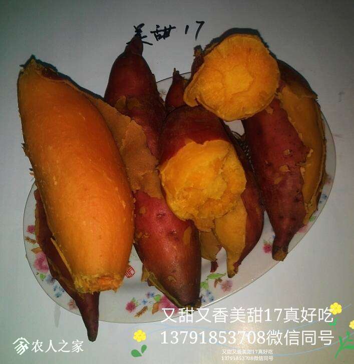 101827u3itscj3n13cpf5n.jpg