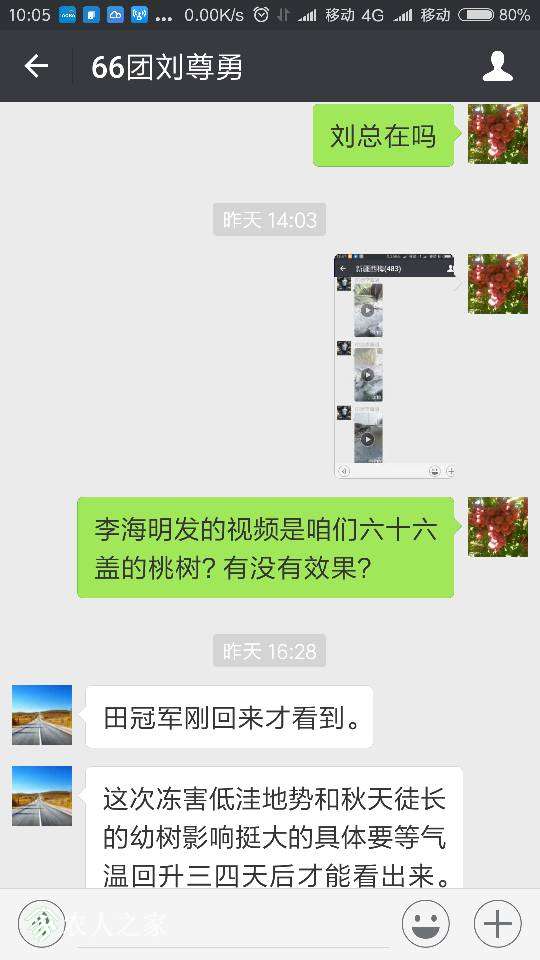 173815wf3awfo4pll5lv55.png