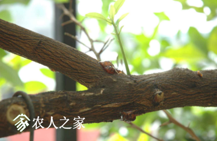 QQͼƬ20180130182509.png