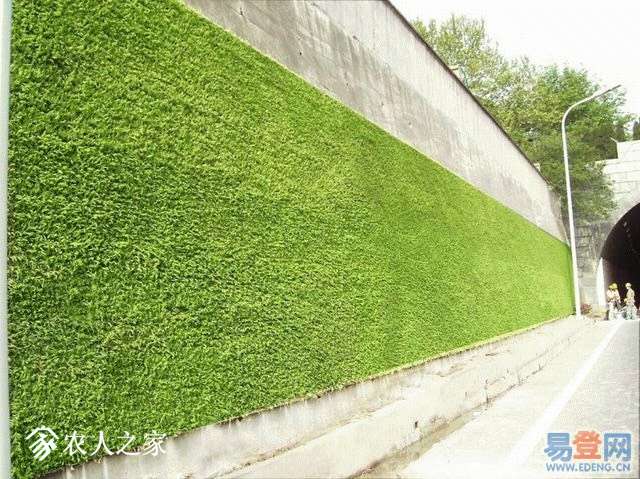092012j06w2le0i8si4ibz.jpg