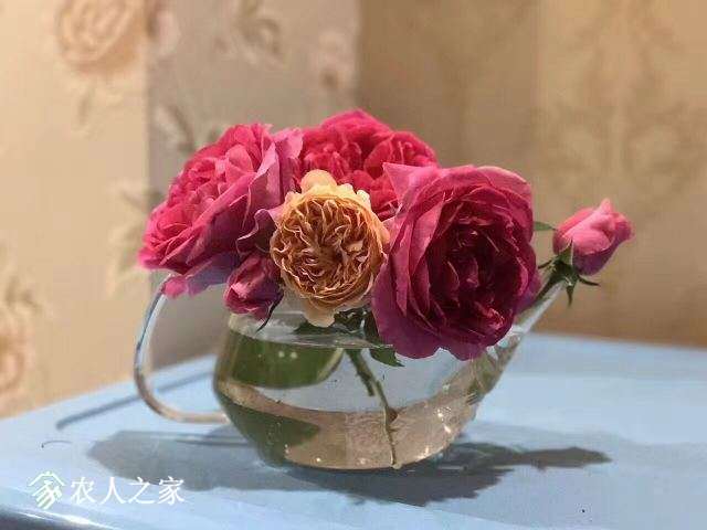 QQͼƬ20180130100509.jpg