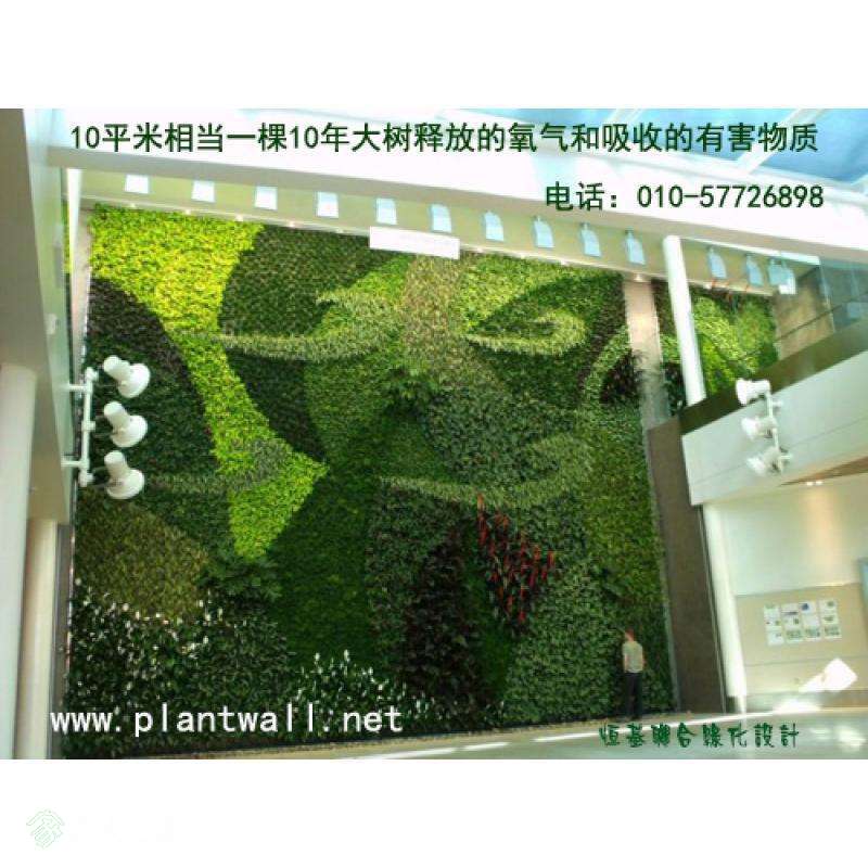 094817g7ff32ia0rq2oapj.jpg