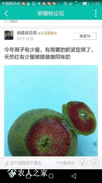 112802jdnpidev852cjsn2.png