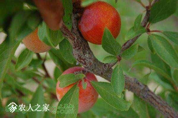 132533h2p8327fg88kg7sq.jpg