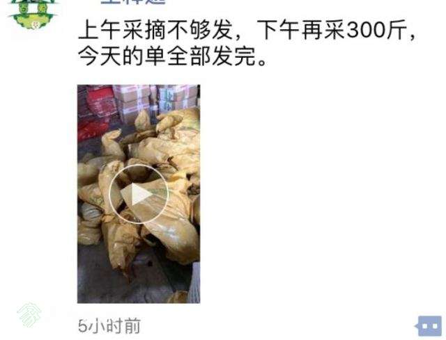 QQͼ20180131205106.jpg