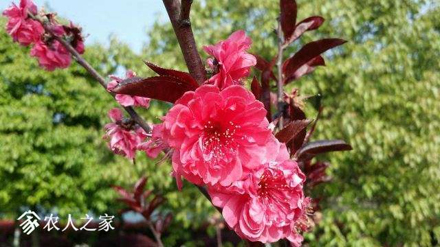 20150411_150629_resized.jpg