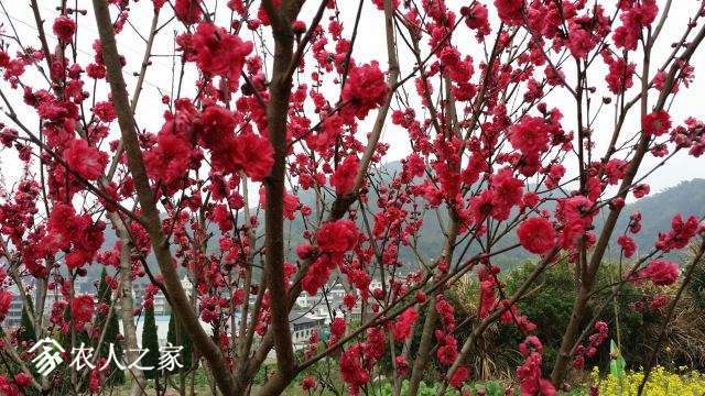 20160402_131747_resized.jpg