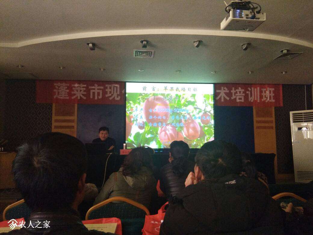 160953xmy5equ2cy1eg7gv.jpg