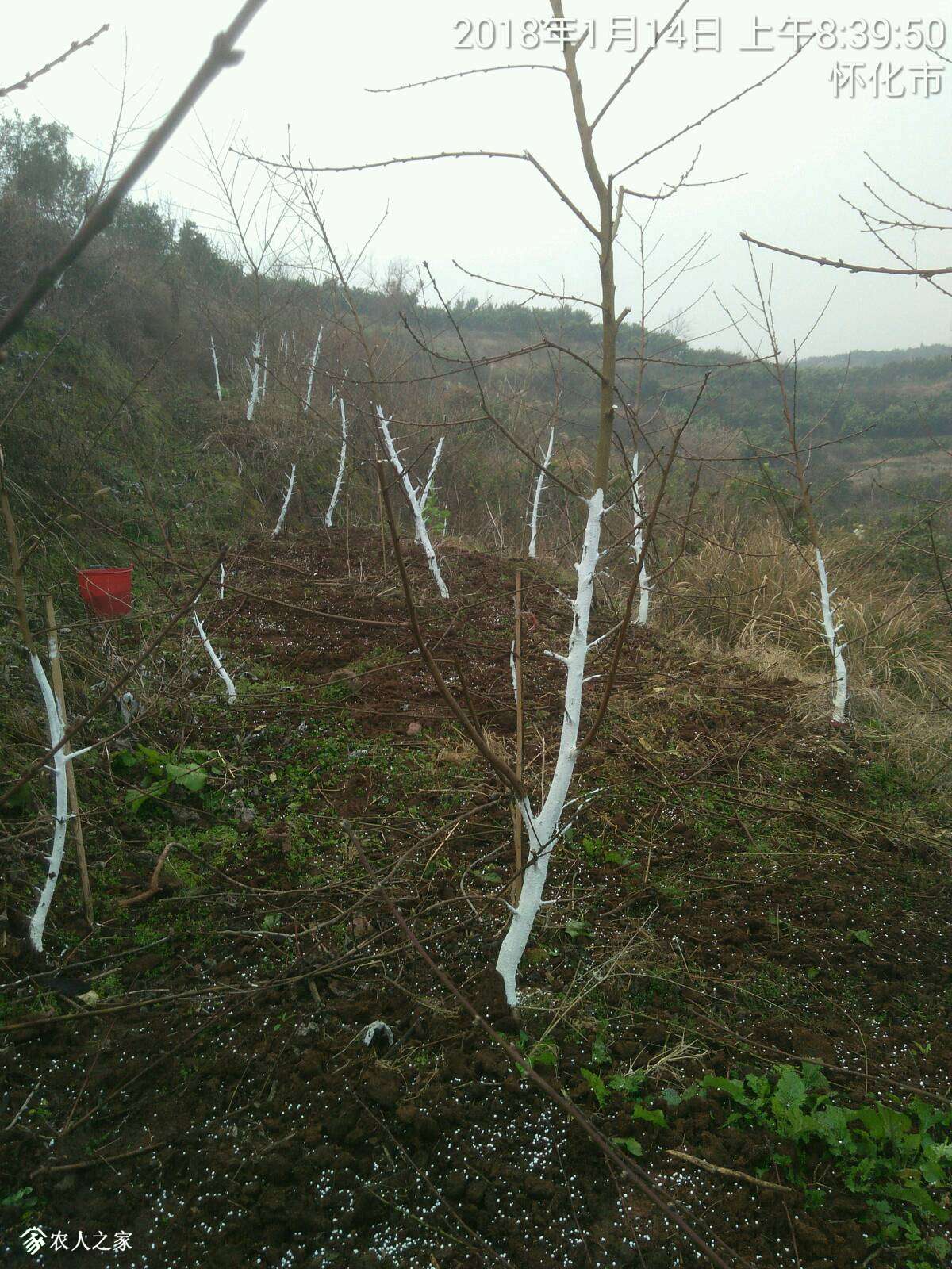 191417mz0p2p0vqlr4y211.jpg