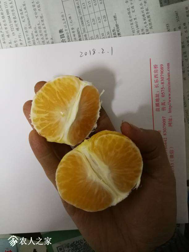 203546mc8p8zxuw55xcttl.jpg