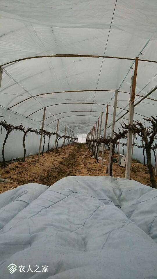 031411feyob1bz3g1olvyo.jpg
