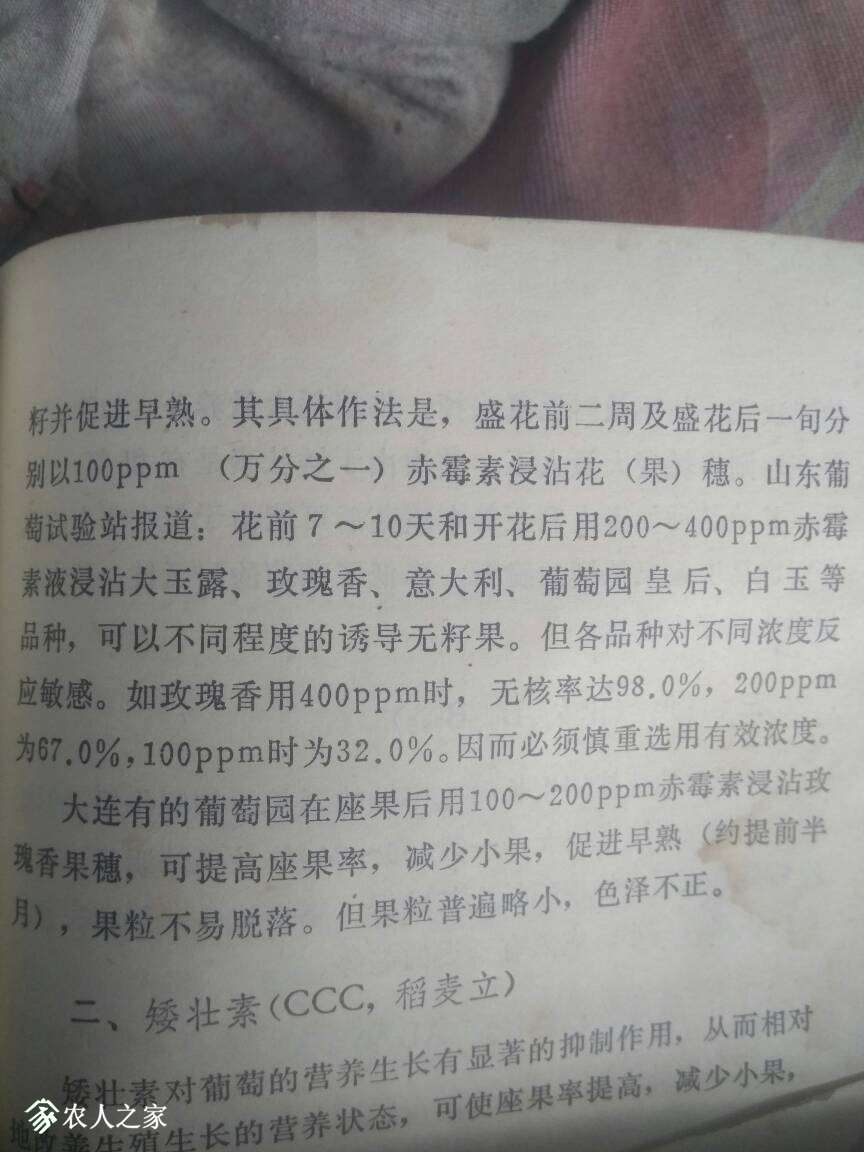 092231hegxui8u88xpvwue.jpg