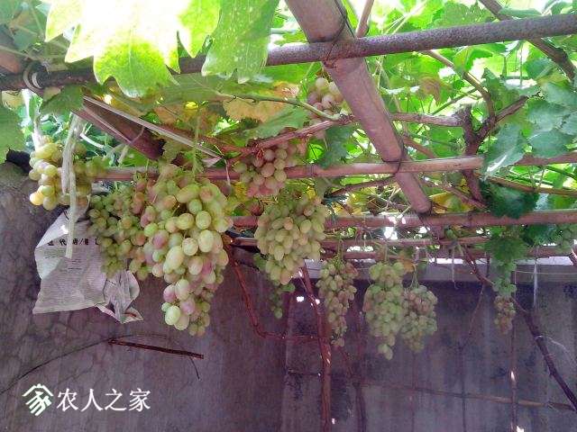 IMG_20120228_025324.jpg