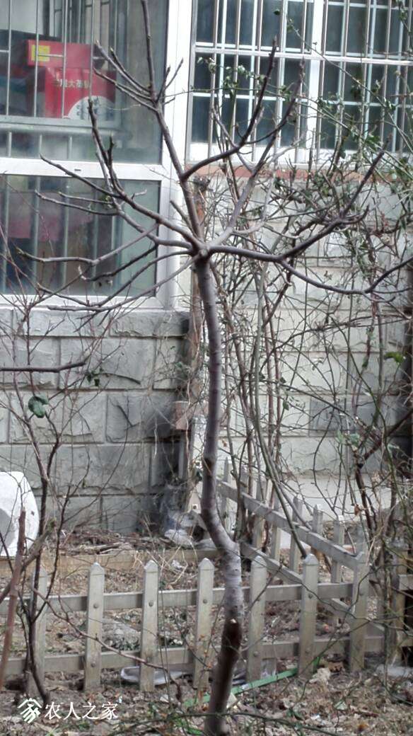 183421ijkz4hwjrt1wz0jl.jpg