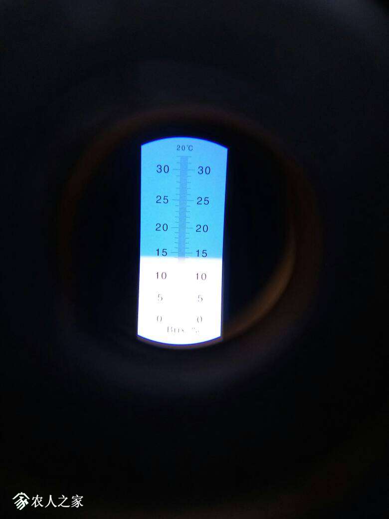 184010vr01mjq3ennd49je.jpg