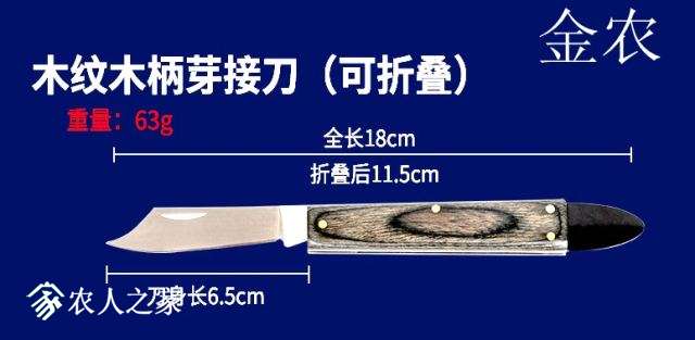 Ƽ޽ӵ06.jpg