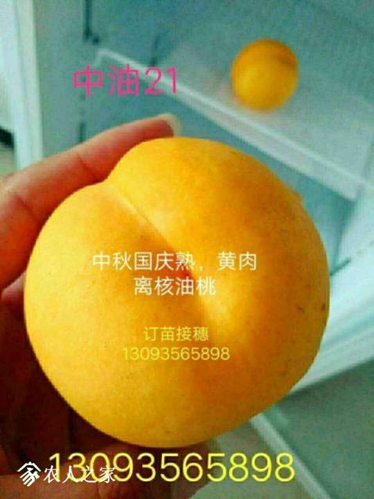 224309jzw9w2wwwn2mox9x.jpg