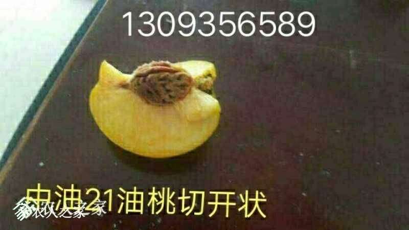 224309r6kmla5m822xc5ul.jpg
