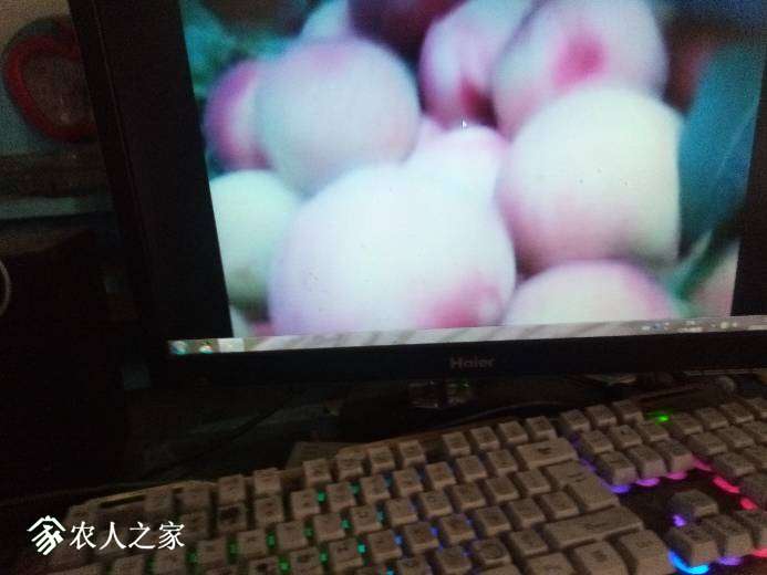 121014ub13c3s9cztjcpjq.jpg