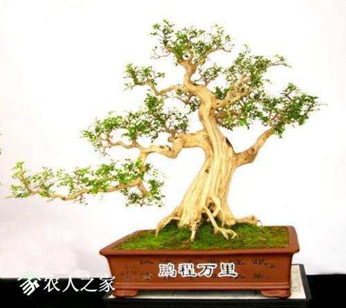 u=976398988,2296614328&amp;fm=27&amp;gp=0.jpg