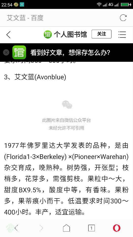 225827qml3lazzna7cyhl4.png