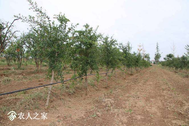 003720t91jtx3sm193y3hw.jpg