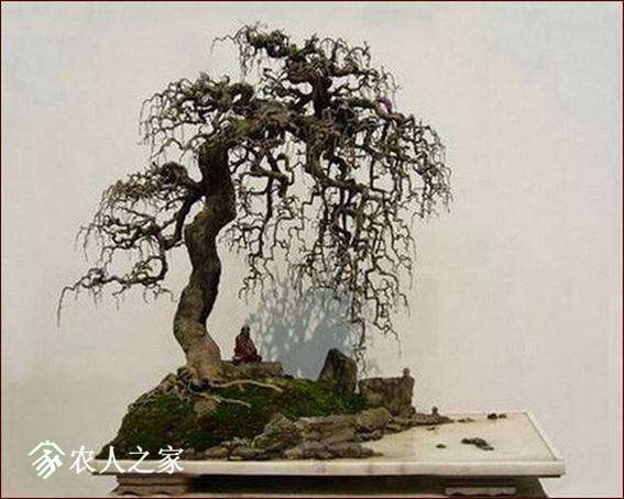 082625yhuz5hz00hh1060h.jpg