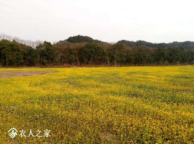 P80203-155742.jpg