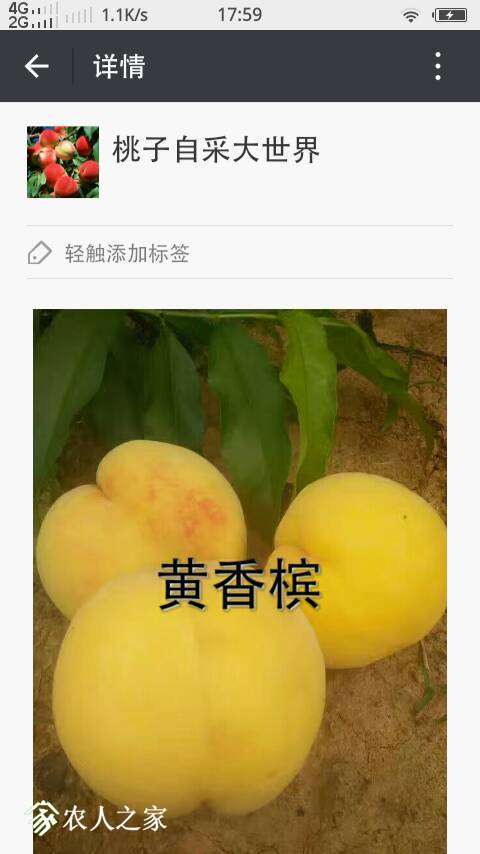184104fft7nn057xt78dt0.png