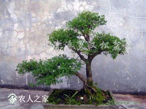 u=2420887632,1504173630&amp;fm=27&amp;gp=0.jpg