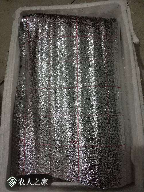 075309zub7ieea777jcb9t.jpg